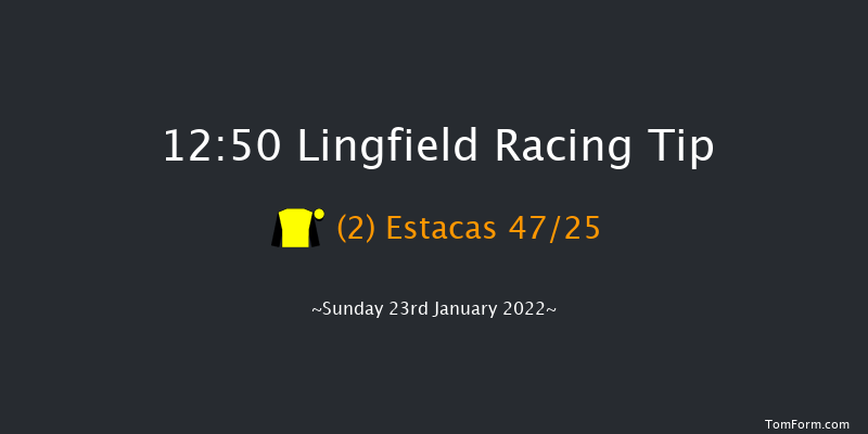 Lingfield 12:50 Stakes (Class 2) 16f Sat 22nd Jan 2022