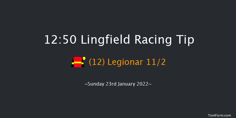 Lingfield 12:50 Stakes (Class 2) 16f Sat 22nd Jan 2022