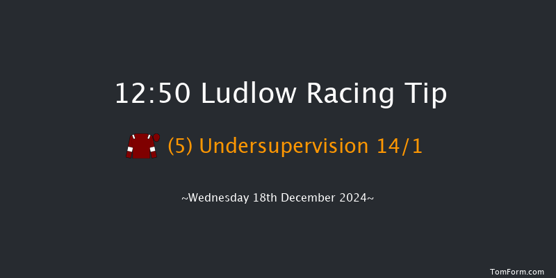 Ludlow  12:50 Handicap Chase (Class 3) 24f Wed 4th Dec 2024