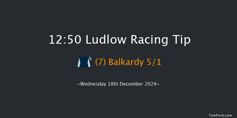 Ludlow  12:50 Handicap Chase (Class 3) 24f Wed 4th Dec 2024