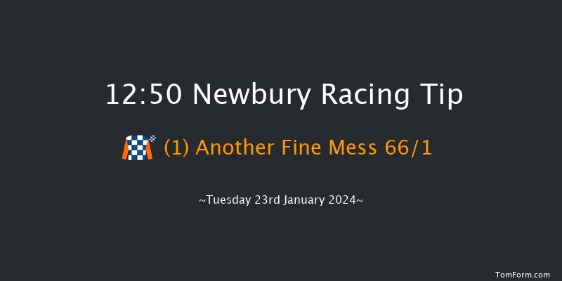 Newbury 12:50
Maiden Hurdle (Class 3) 16f Sat 30th Dec 2023