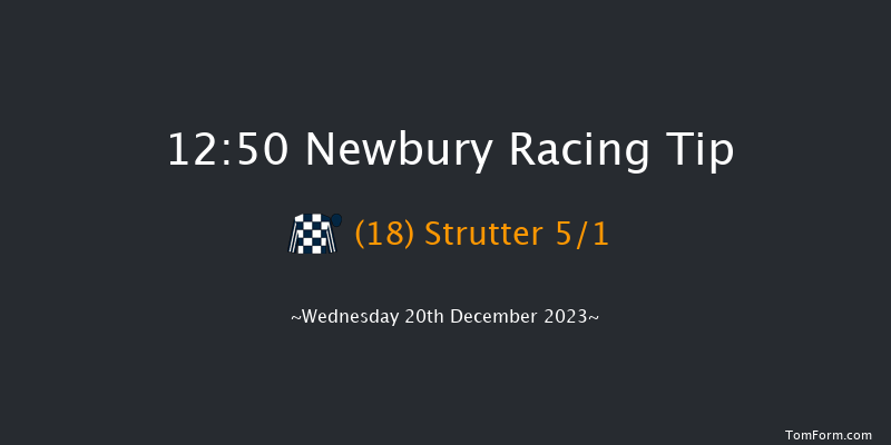 Newbury 12:50 Maiden Hurdle (Class 3) 16f Sat 2nd Dec 2023