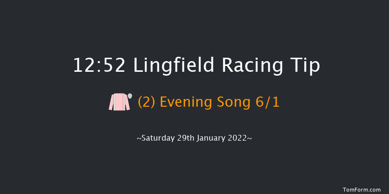 Lingfield 12:52 Handicap (Class 6) 8f Fri 28th Jan 2022