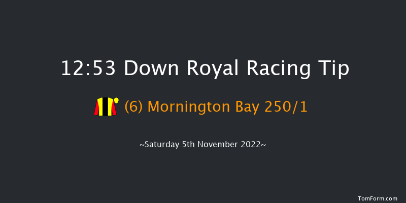 Down Royal 12:53 Conditions Hurdle 17f Fri 4th Nov 2022