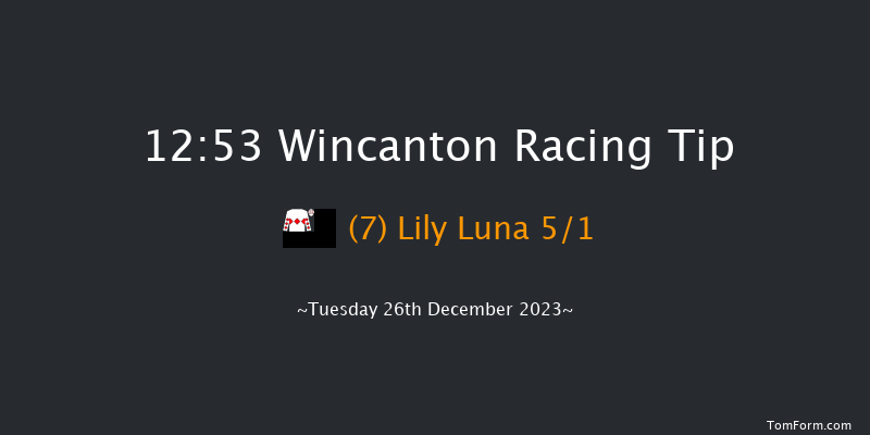 Wincanton 12:53 Novices Hurdle (Class 4) 15f Tue 19th Dec 2023