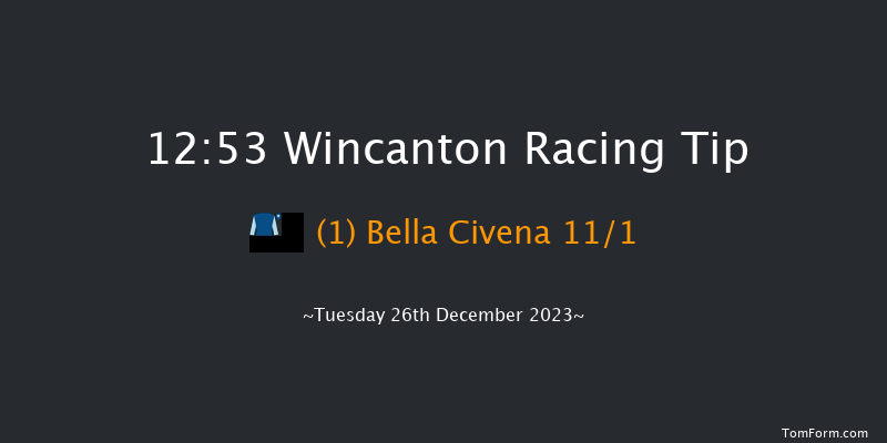 Wincanton 12:53 Novices Hurdle (Class 4) 15f Tue 19th Dec 2023