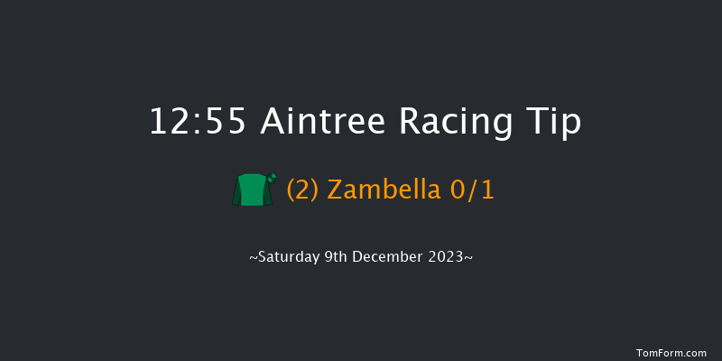 Aintree 12:55 Conditions Chase (Class 1) 20f Sat 11th Nov 2023