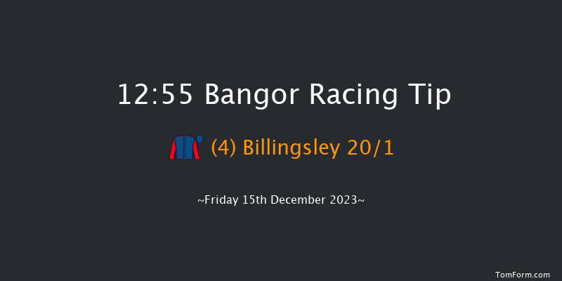 Bangor 12:55 Handicap Chase (Class 5) 20f Sat 2nd Dec 2023