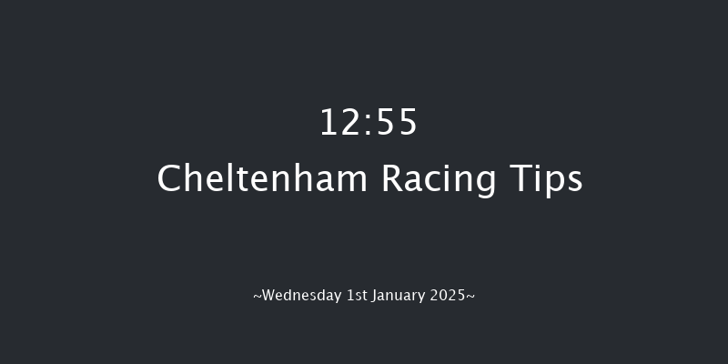 Cheltenham  12:55 Maiden Hurdle (Class 2) 20f Sat 14th Dec 2024