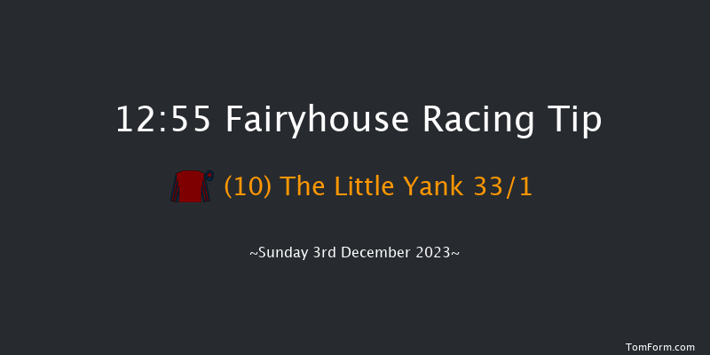 Fairyhouse 12:55 Handicap Chase 30f Sat 2nd Dec 2023