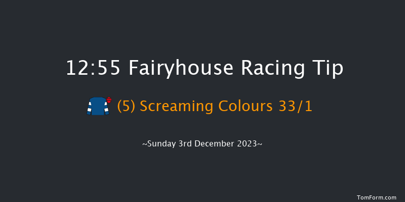 Fairyhouse 12:55 Handicap Chase 30f Sat 2nd Dec 2023