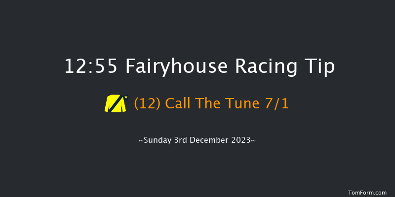 Fairyhouse 12:55 Handicap Chase 30f Sat 2nd Dec 2023