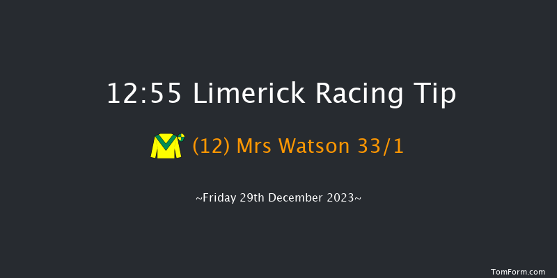 Limerick 12:55 Handicap Chase 22f Thu 28th Dec 2023