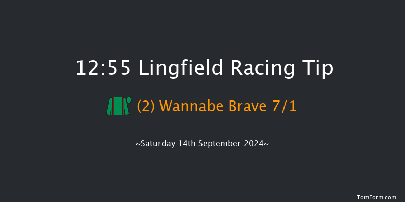 Lingfield  12:55 Handicap (Class 6) 16f Wed 11th Sep 2024