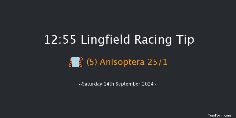 Lingfield  12:55 Handicap (Class 6) 16f Wed 11th Sep 2024