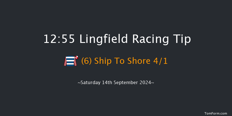 Lingfield  12:55 Handicap (Class 6) 16f Wed 11th Sep 2024