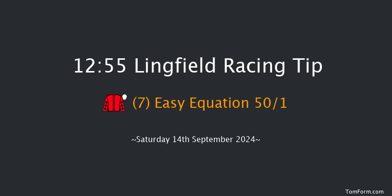 Lingfield  12:55 Handicap (Class 6) 16f Wed 11th Sep 2024