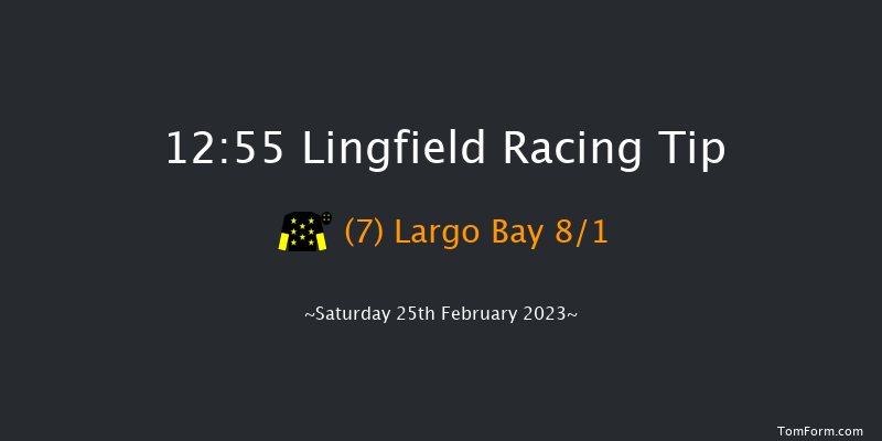 Lingfield 12:55 Handicap (Class 5) 12f Fri 24th Feb 2023