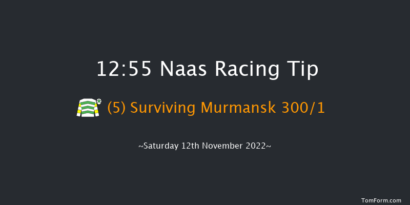 Naas 12:55 Conditions Hurdle 16f Sun 6th Nov 2022