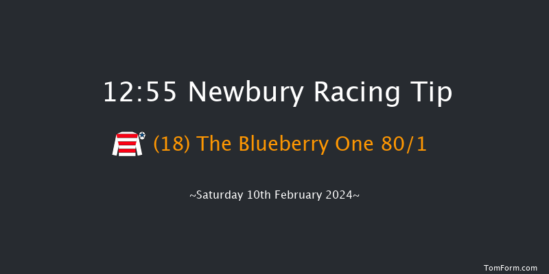 Newbury  12:55 Novices Hurdle (Class 3)
16f Tue 23rd Jan 2024