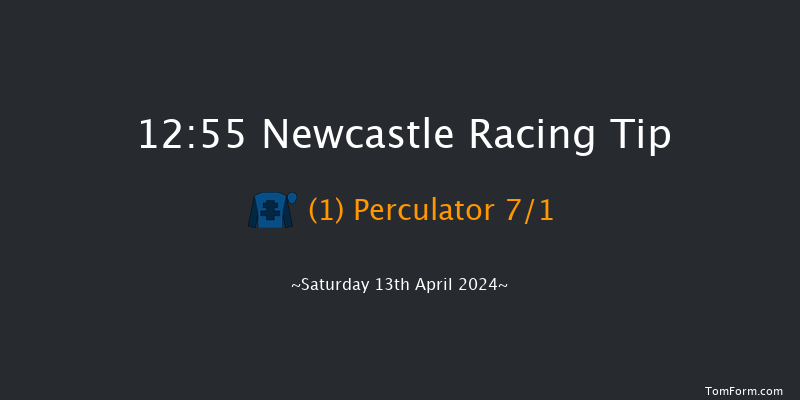 Newcastle  12:55 Handicap Hurdle (Class 5)
24f Mon 8th Apr 2024