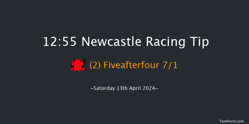 Newcastle  12:55 Handicap Hurdle (Class 5)
24f Mon 8th Apr 2024