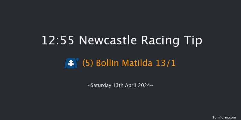 Newcastle  12:55 Handicap Hurdle (Class 5)
24f Mon 8th Apr 2024