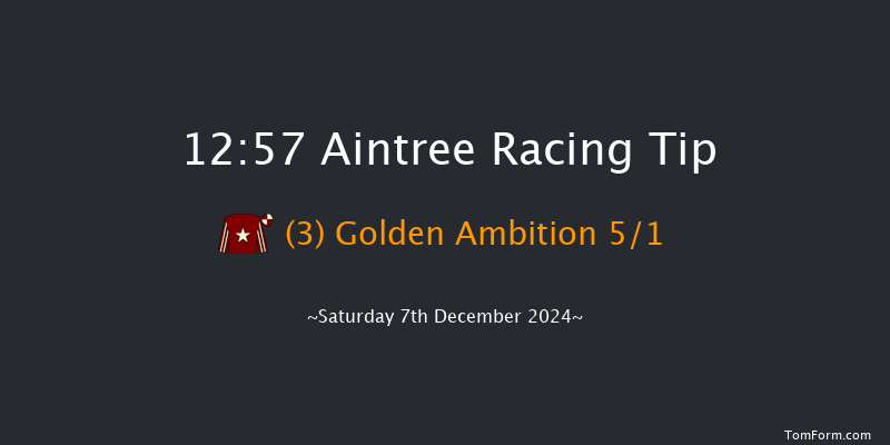 Aintree  12:57 Handicap Hurdle (Class 4) 25f Sat 9th Nov 2024