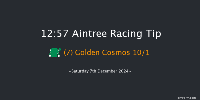 Aintree  12:57 Handicap Hurdle (Class 4) 25f Sat 9th Nov 2024