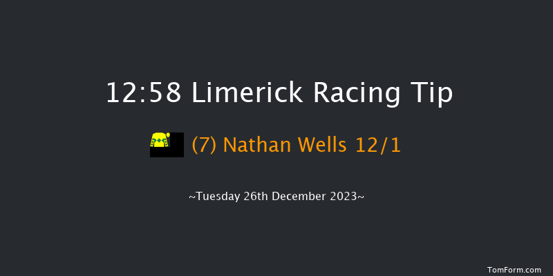 Limerick 12:58 Maiden Hurdle 16f Tue 21st Nov 2023