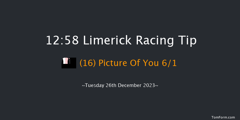 Limerick 12:58 Maiden Hurdle 16f Tue 21st Nov 2023