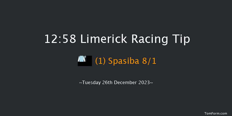 Limerick 12:58 Maiden Hurdle 16f Tue 21st Nov 2023