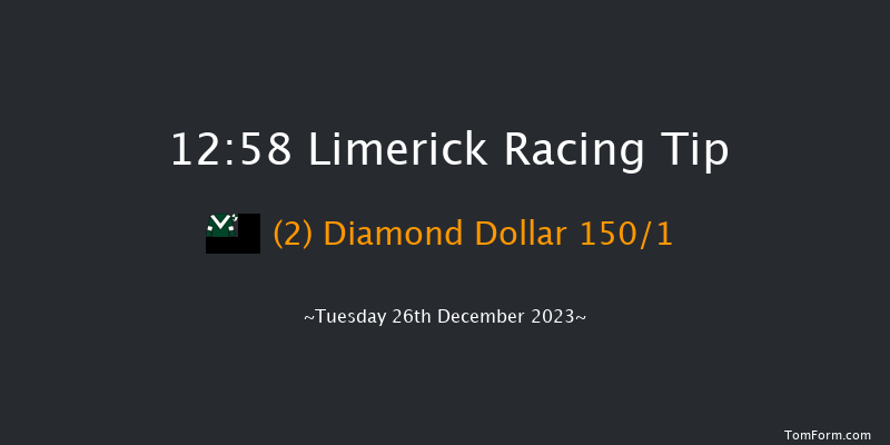 Limerick 12:58 Maiden Hurdle 16f Tue 21st Nov 2023