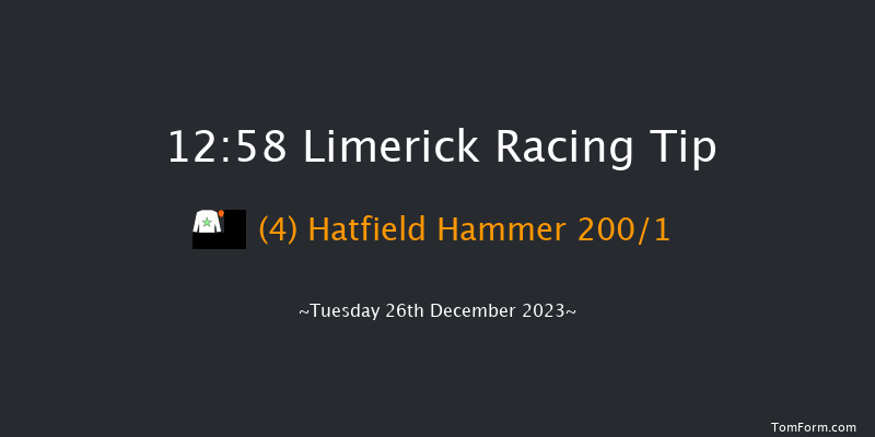 Limerick 12:58 Maiden Hurdle 16f Tue 21st Nov 2023