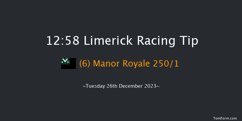 Limerick 12:58 Maiden Hurdle 16f Tue 21st Nov 2023