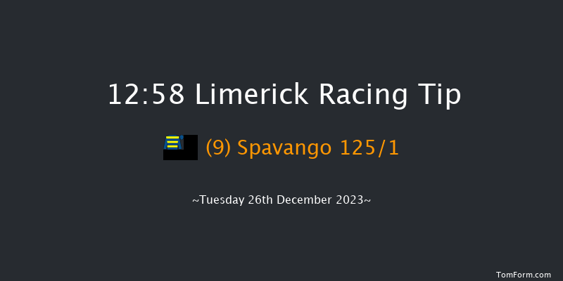 Limerick 12:58 Maiden Hurdle 16f Tue 21st Nov 2023