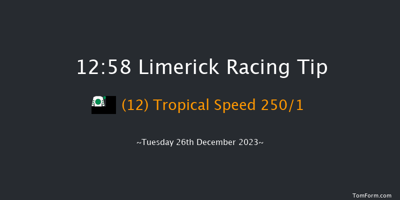 Limerick 12:58 Maiden Hurdle 16f Tue 21st Nov 2023