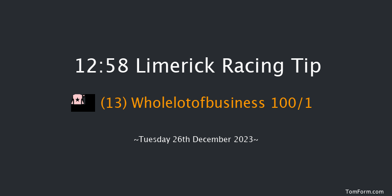 Limerick 12:58 Maiden Hurdle 16f Tue 21st Nov 2023