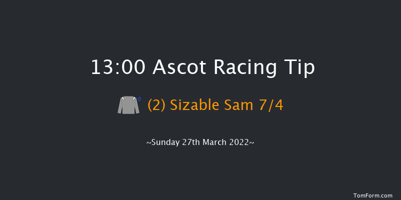 Ascot 13:00 Handicap Hurdle (Class 3) 22f Sat 19th Feb 2022