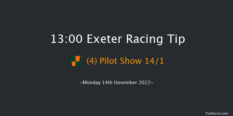 Exeter 13:00 Handicap Hurdle (Class 4) 23f Fri 4th Nov 2022