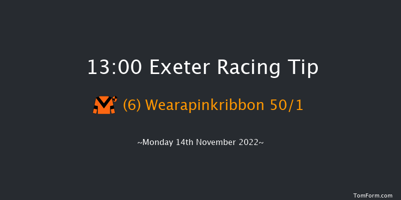 Exeter 13:00 Handicap Hurdle (Class 4) 23f Fri 4th Nov 2022