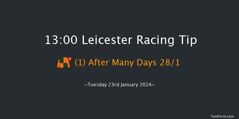 Leicester 13:00 Handicap
Hurdle (Class 5) 20f Wed 10th Jan 2024