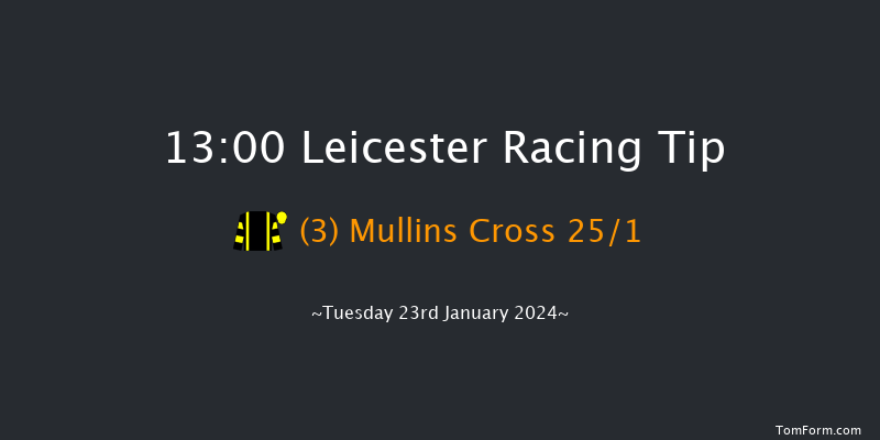 Leicester 13:00 Handicap
Hurdle (Class 5) 20f Wed 10th Jan 2024