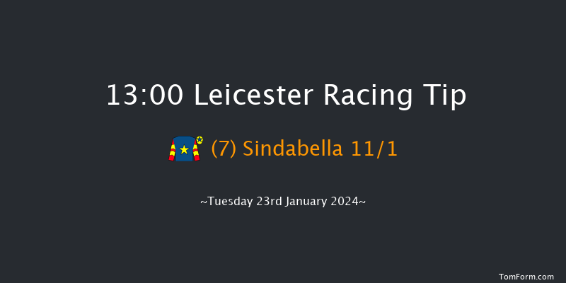 Leicester 13:00 Handicap
Hurdle (Class 5) 20f Wed 10th Jan 2024