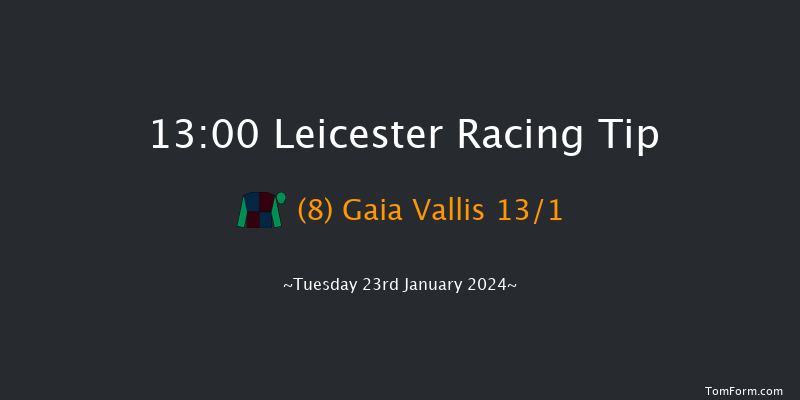 Leicester 13:00 Handicap
Hurdle (Class 5) 20f Wed 10th Jan 2024