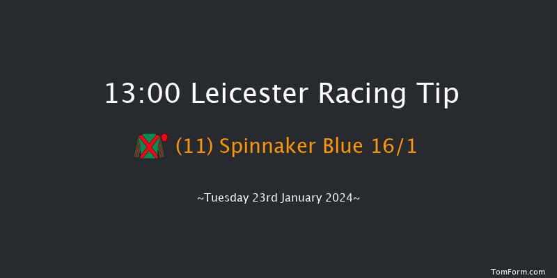 Leicester 13:00 Handicap
Hurdle (Class 5) 20f Wed 10th Jan 2024