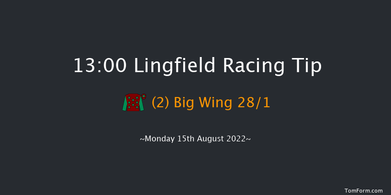 Lingfield 13:00 Handicap (Class 6) 12f Tue 9th Aug 2022