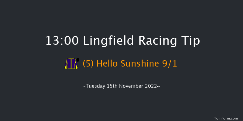 Lingfield 13:00 Handicap Chase (Class 4) 20f Sat 12th Nov 2022