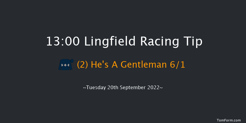 Lingfield 13:00 Handicap (Class 5) 8f Wed 31st Aug 2022