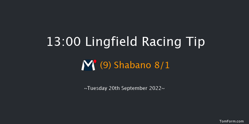 Lingfield 13:00 Handicap (Class 5) 8f Wed 31st Aug 2022